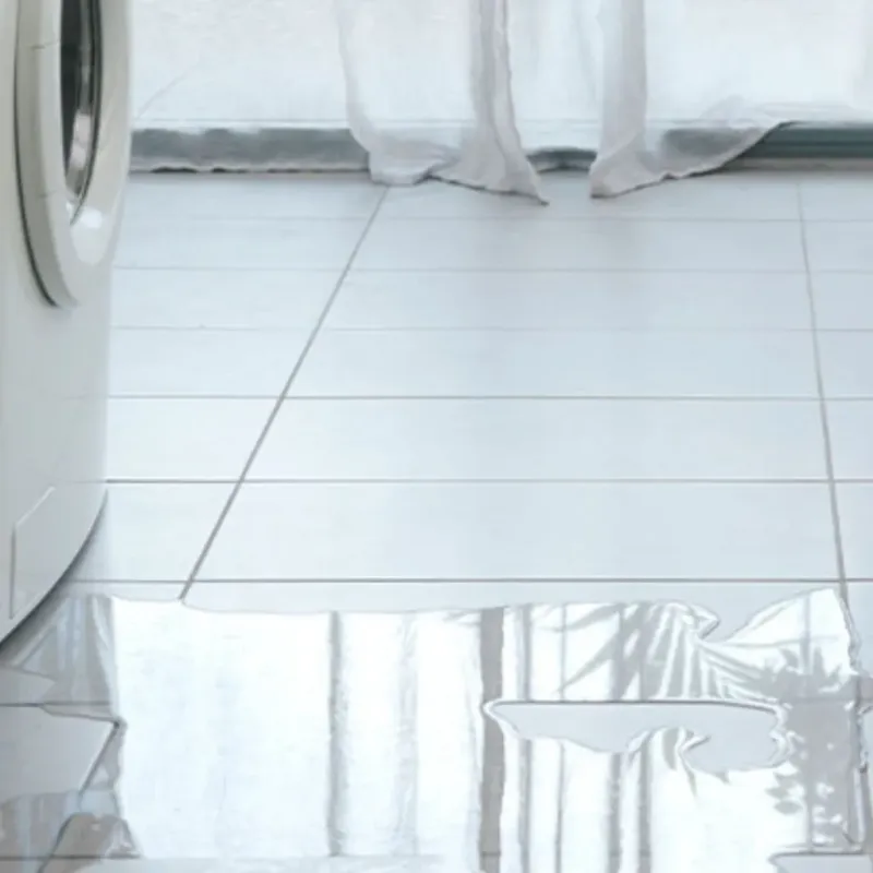 Appliance Leak Cleanup in Winfield, KS
