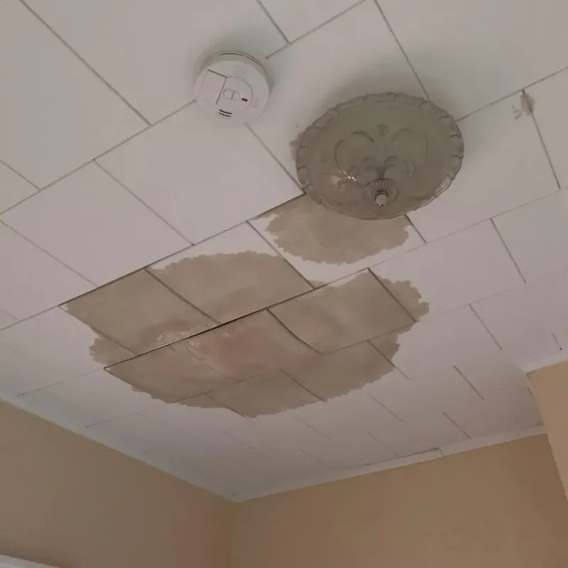 Ceiling Water Damage Repair in Winfield, KS