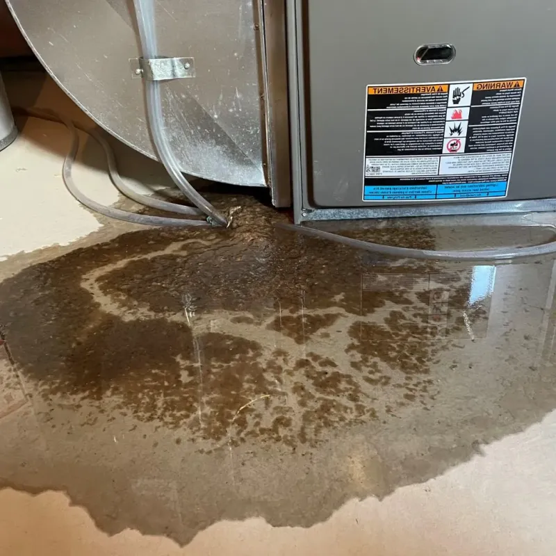 Pipe Burst and Leak Restoration in Winfield, KS