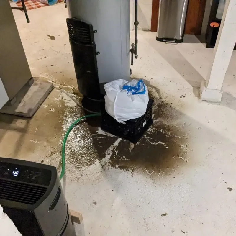 Sewage Backup Cleanup Service in Winfield, KS